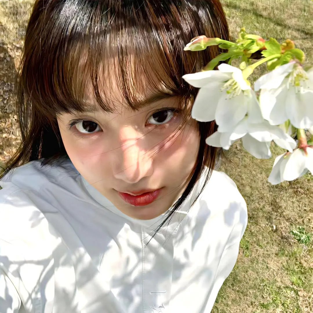 茶杯头大冒险第三季